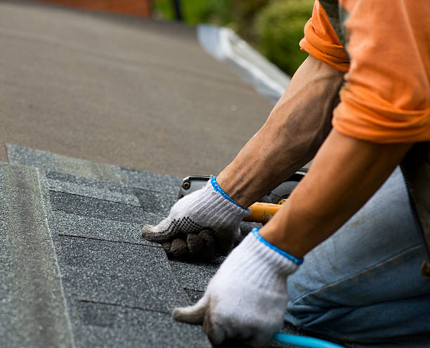 Best Local Roofing Companies  in Fayetteville, AR