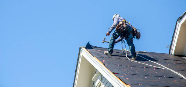 Best New Roof Installation  in Fayetteville, AR
